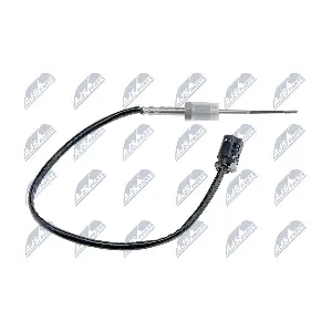 EGT-BM-013 NTY