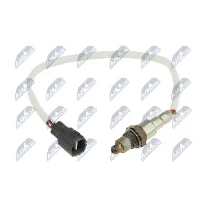 ESL-TY-029 NTY