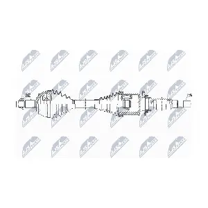 NPW-AR-024 NTY