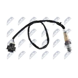 NTY ESL-PL-010