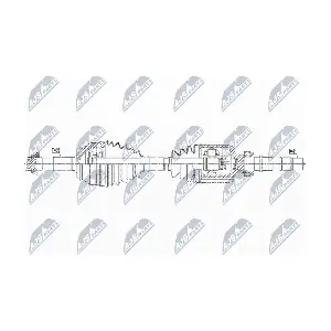 NPW-CT-119 NTY
