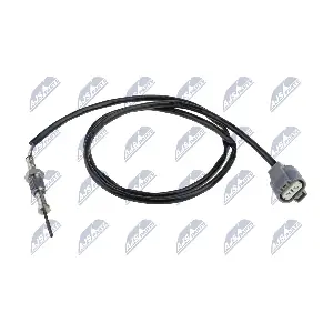 EGT-MS-001 NTY