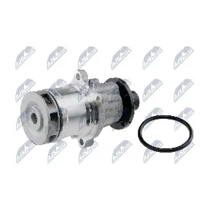 NTY CPW-BM-016
