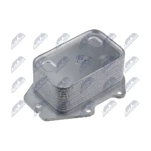 CCL-BM-087 NTY