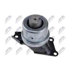ZPS-VW-065 NTY