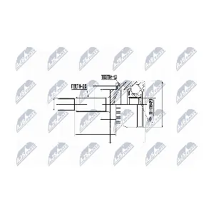 NPZ-MS-029 NTY