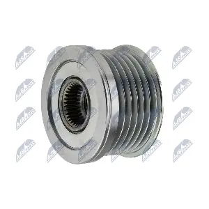 ESA-AU-008 NTY