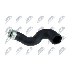 NTY GPP-AU-006