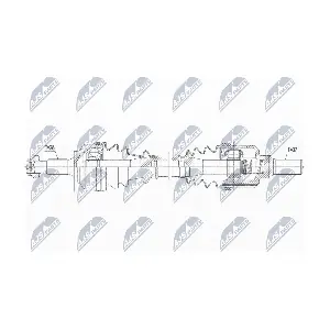 NPW-PE-061 NTY