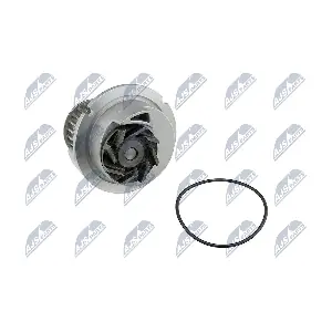 NTY CPW-PL-029