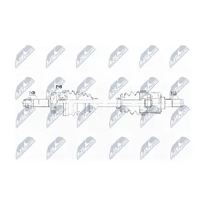 NPW-KA-384 NTY