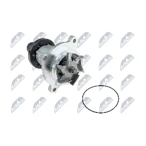 CPW-LR-004 NTY
