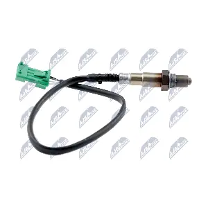 NTY ESL-CT-011