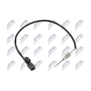 EGT-RE-012 NTY