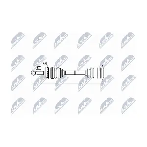 NPW-MS-001 NTY