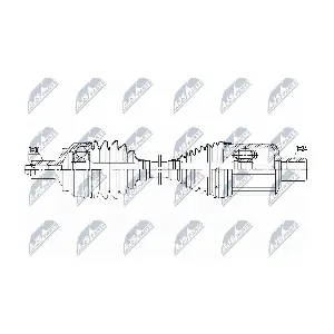 NPW-ME-096 NTY