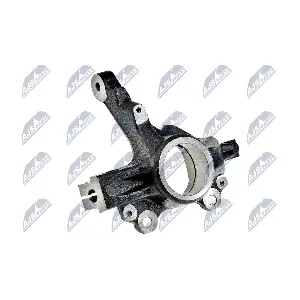 ZZP-PL-011 NTY