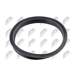NTY BPP-VW-005