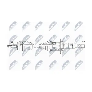NPW-VV-145 NTY