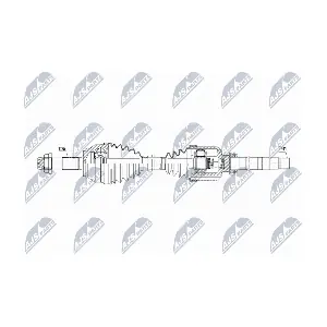 NPW-CT-164 NTY
