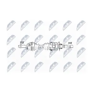 NPW-FT-017 NTY