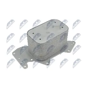 CCL-AU-049 NTY