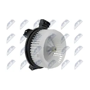 NTY EWN-CH-003