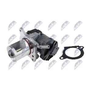 EGR-ME-029 NTY