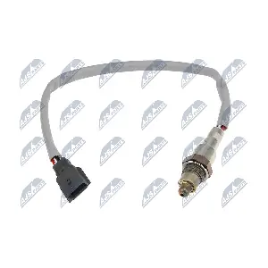 ESL-NS-024 NTY