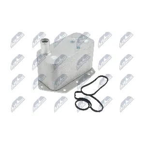CCL-BM-037 NTY