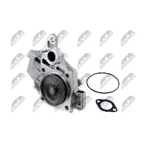 CPW-PL-036 NTY