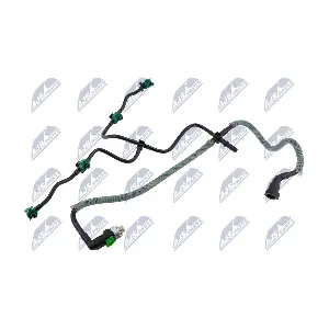 BPP-FR-002 NTY