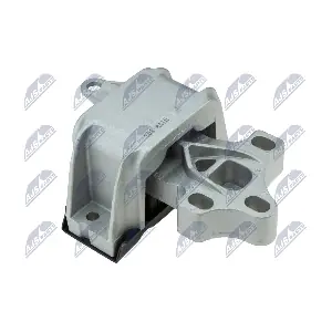 ZPS-VW-105 NTY