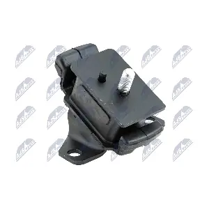 ZPS-TY-110 NTY