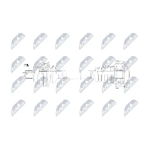 NPW-AU-085 NTY