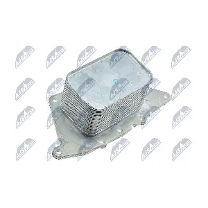CCL-BM-014 NTY