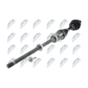 NTY NPW-LR-014