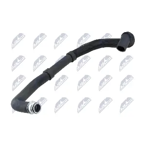CPP-PE-003 NTY