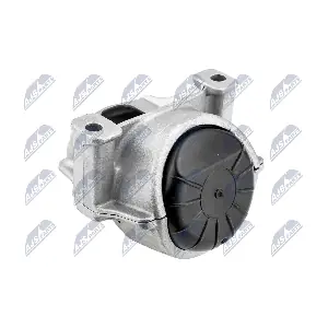 ZPS-AU-053 NTY