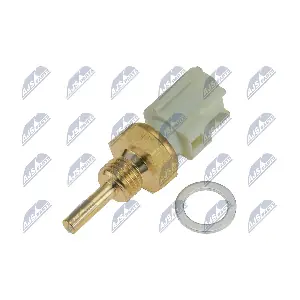NTY ECTTY001