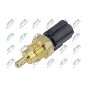 NTY ECT-MS-001
