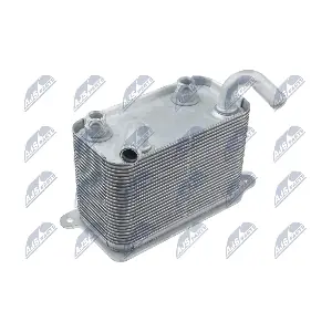 CCL-VW-025 NTY