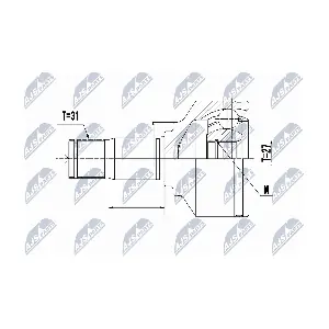NTY NPW-VV-095