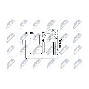 NPZ-SK-005 NTY