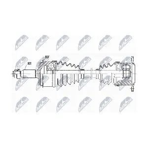 NPW-MS-081 NTY
