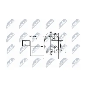 NPZ-RV-008 NTY