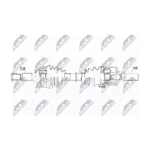 NTY NPW-PE-067