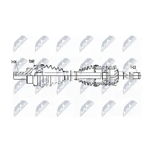 NPW-VV-119 NTY