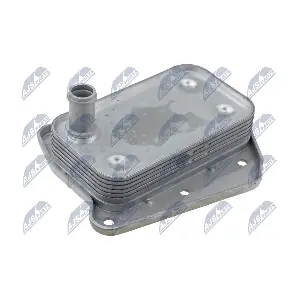 NTY CCL-CH-013