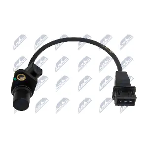 ECP-HY-021 NTY